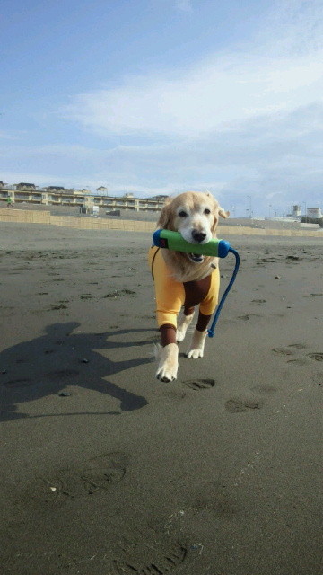 ファイル 4088-4.jpg