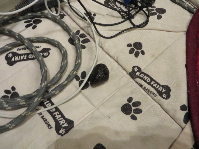 ファイル 4088-5.jpg