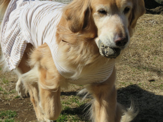 ファイル 4089-4.jpg