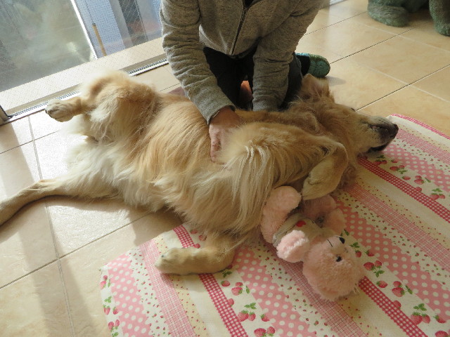 ファイル 4089-5.jpg