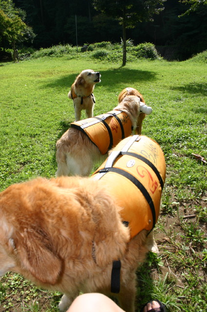 ファイル 409-3.jpg