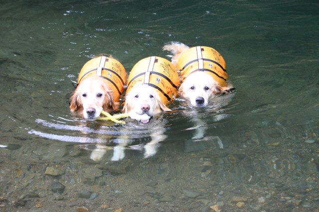 ファイル 409-4.jpg