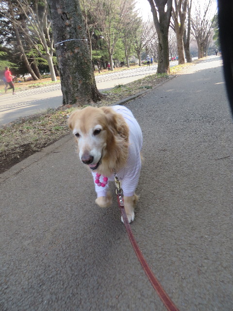 ファイル 4091-1.jpg