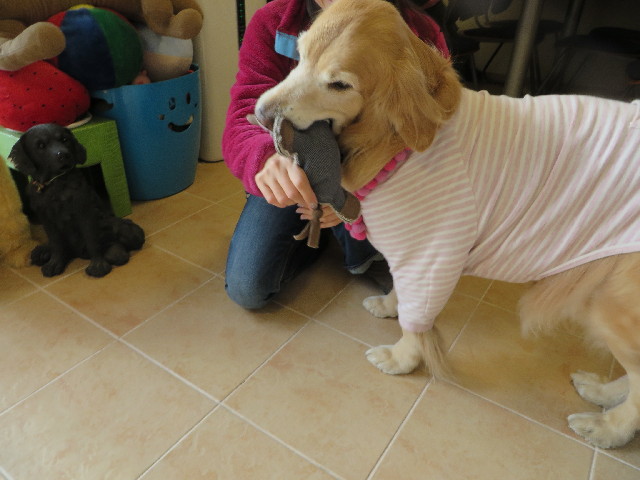 ファイル 4091-4.jpg