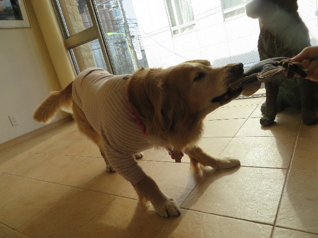 ファイル 4091-5.jpg