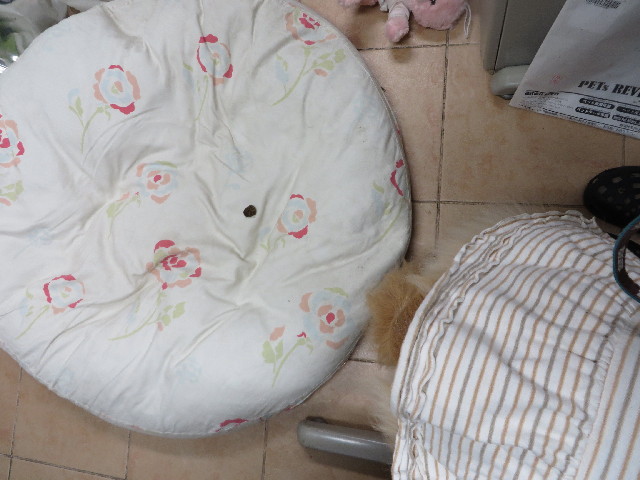 ファイル 4093-2.jpg