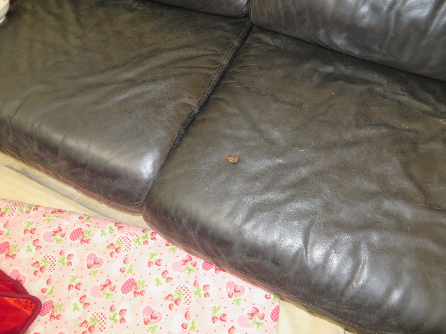 ファイル 4093-3.jpg