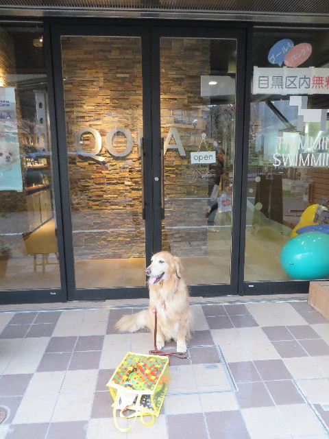 ファイル 4094-1.jpg