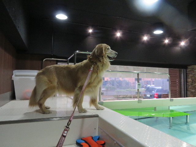 ファイル 4094-2.jpg