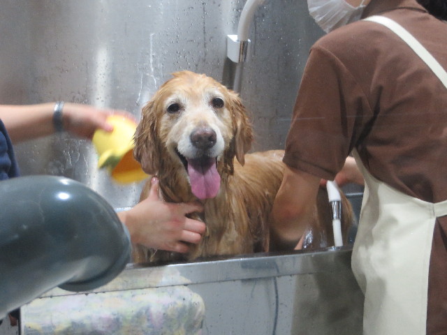 ファイル 4094-5.jpg