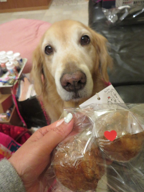 ファイル 4095-5.jpg