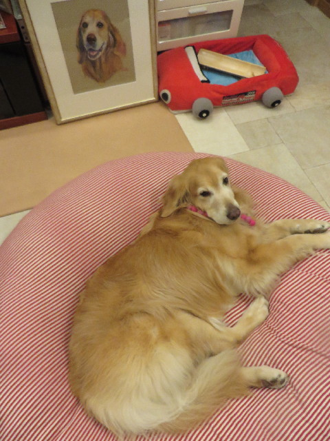 ファイル 4096-5.jpg