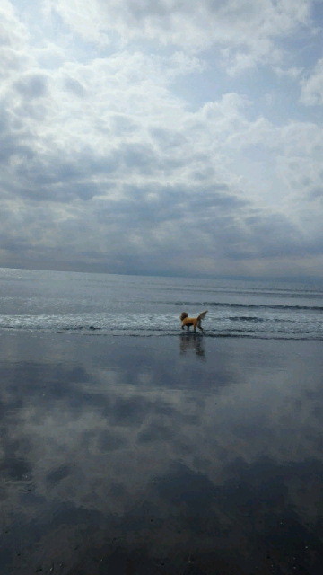 ファイル 4097-1.jpg