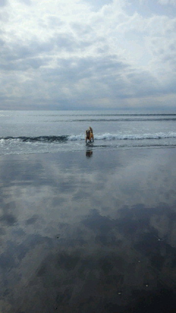 ファイル 4097-2.jpg