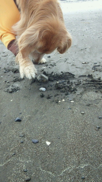 ファイル 4097-3.jpg