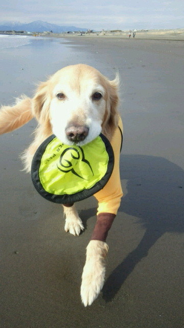 ファイル 4097-4.jpg