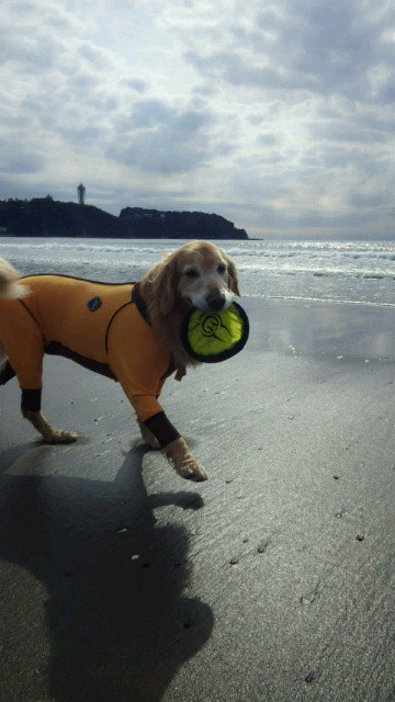 ファイル 4097-5.jpg