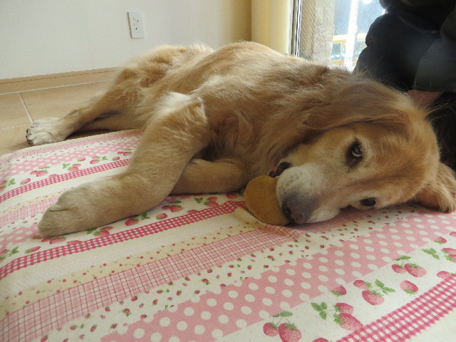 ファイル 4099-5.jpg