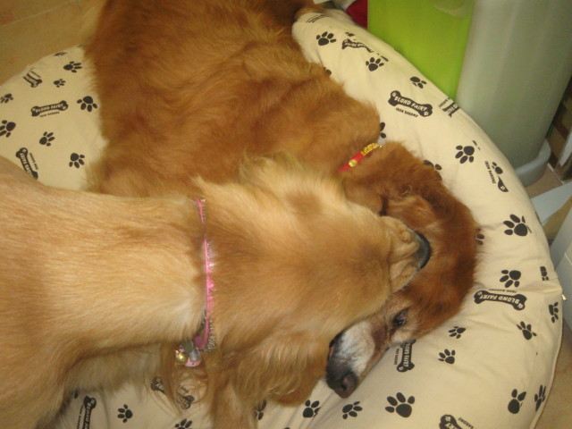 ファイル 410-3.jpg