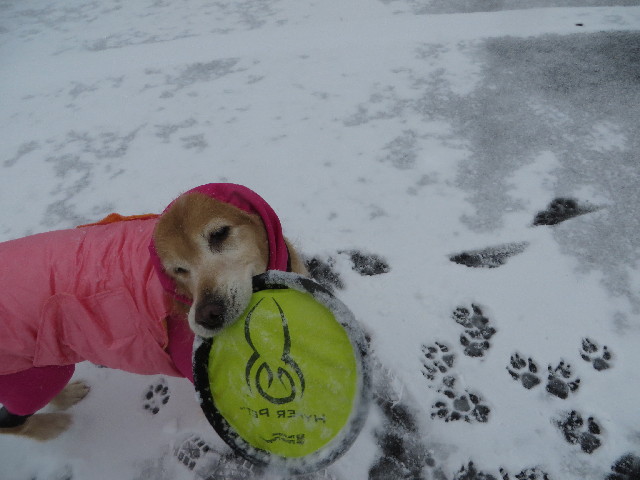 ファイル 4102-1.jpg