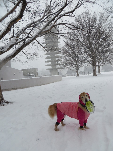 ファイル 4102-3.jpg