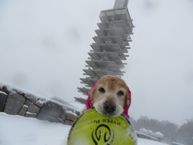 ファイル 4102-5.jpg