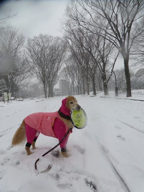 ファイル 4104-4.jpg