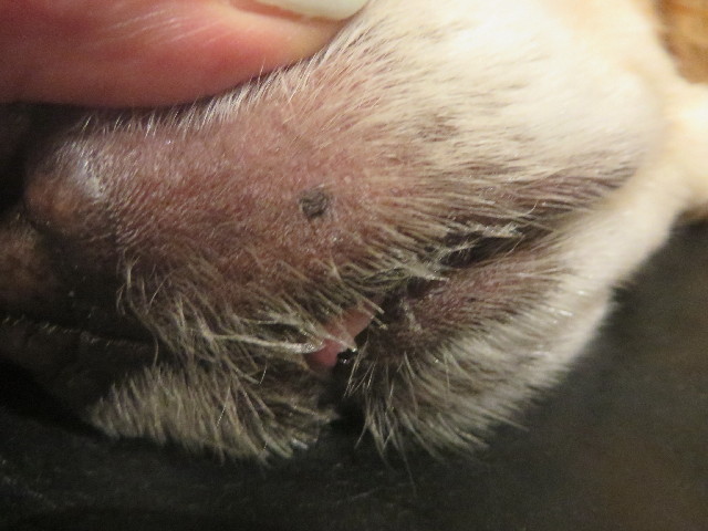 ファイル 4105-1.jpg