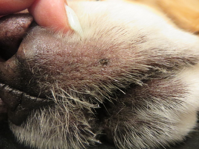 ファイル 4105-2.jpg