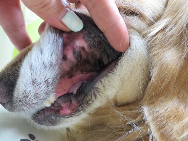 ファイル 4105-4.jpg