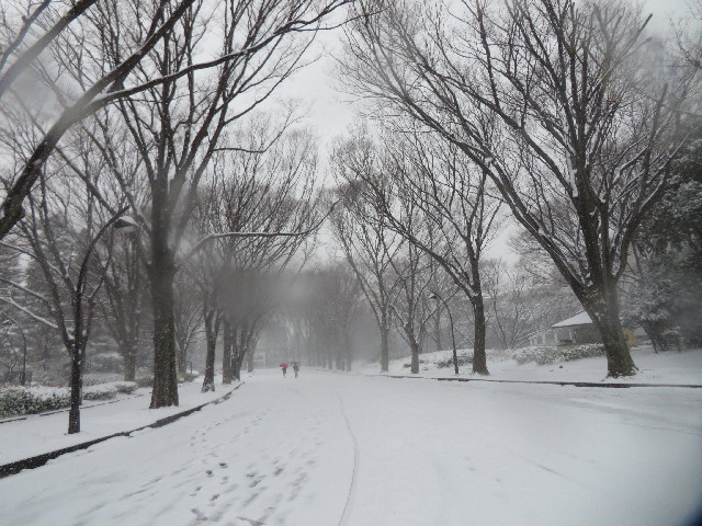 ファイル 4106-1.jpg