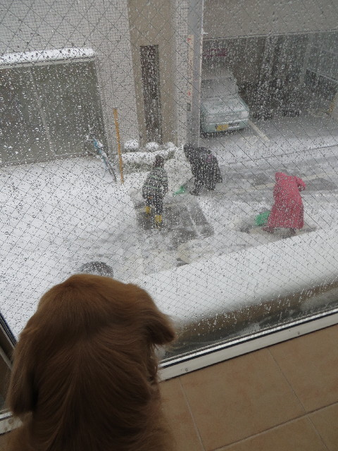 ファイル 4106-2.jpg