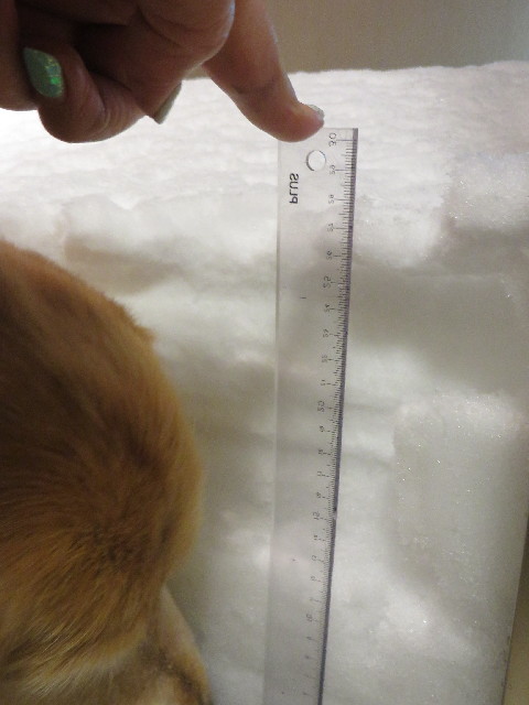 ファイル 4107-2.jpg