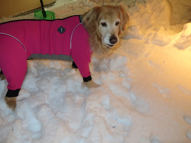 ファイル 4107-3.jpg