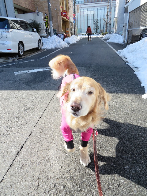 ファイル 4108-1.jpg