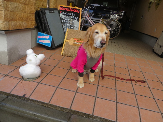 ファイル 4108-2.jpg