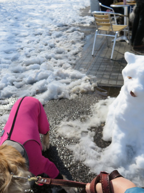 ファイル 4109-2.jpg