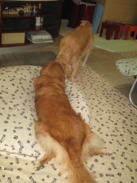 ファイル 411-3.jpg