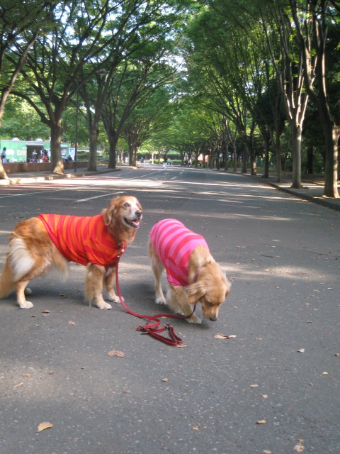 ファイル 411-4.jpg