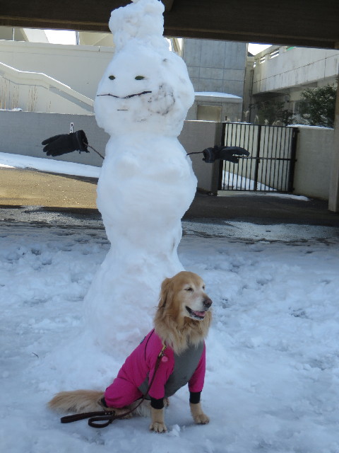 ファイル 4110-1.jpg