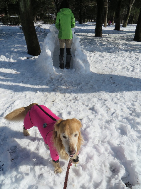 ファイル 4110-3.jpg