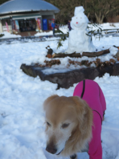 ファイル 4111-4.jpg