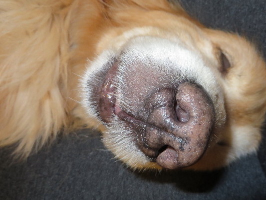 ファイル 4112-1.jpg