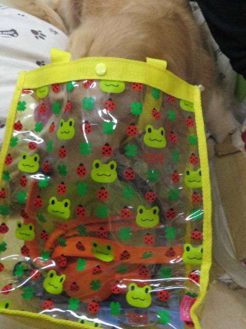 ファイル 4112-3.jpg