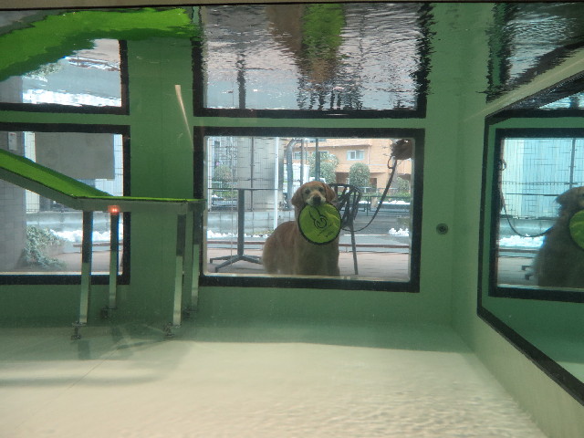 ファイル 4113-2.jpg