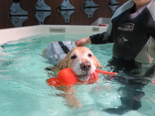 ファイル 4113-3.jpg