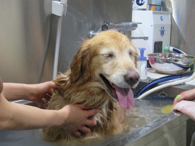 ファイル 4113-5.jpg