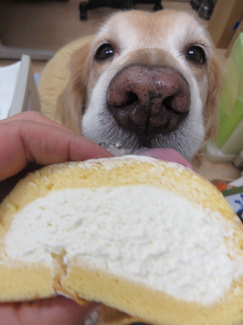 ファイル 4114-3.jpg