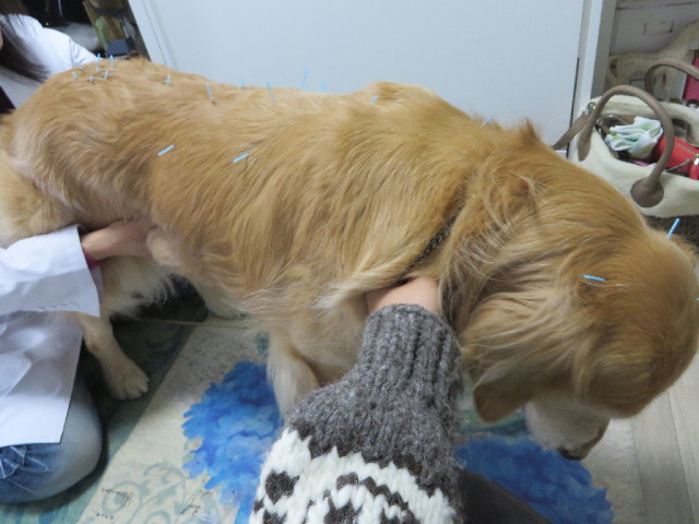 ファイル 4115-3.jpg