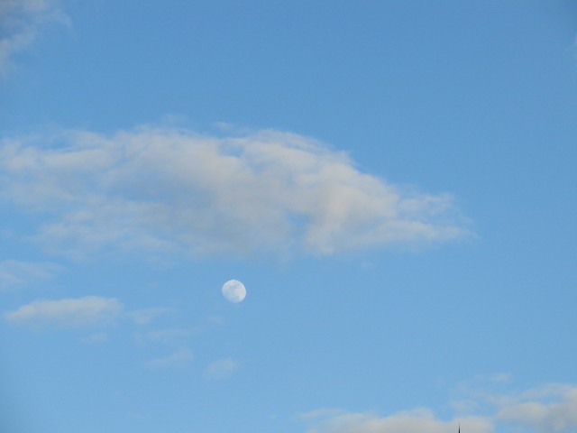 ファイル 4115-5.jpg